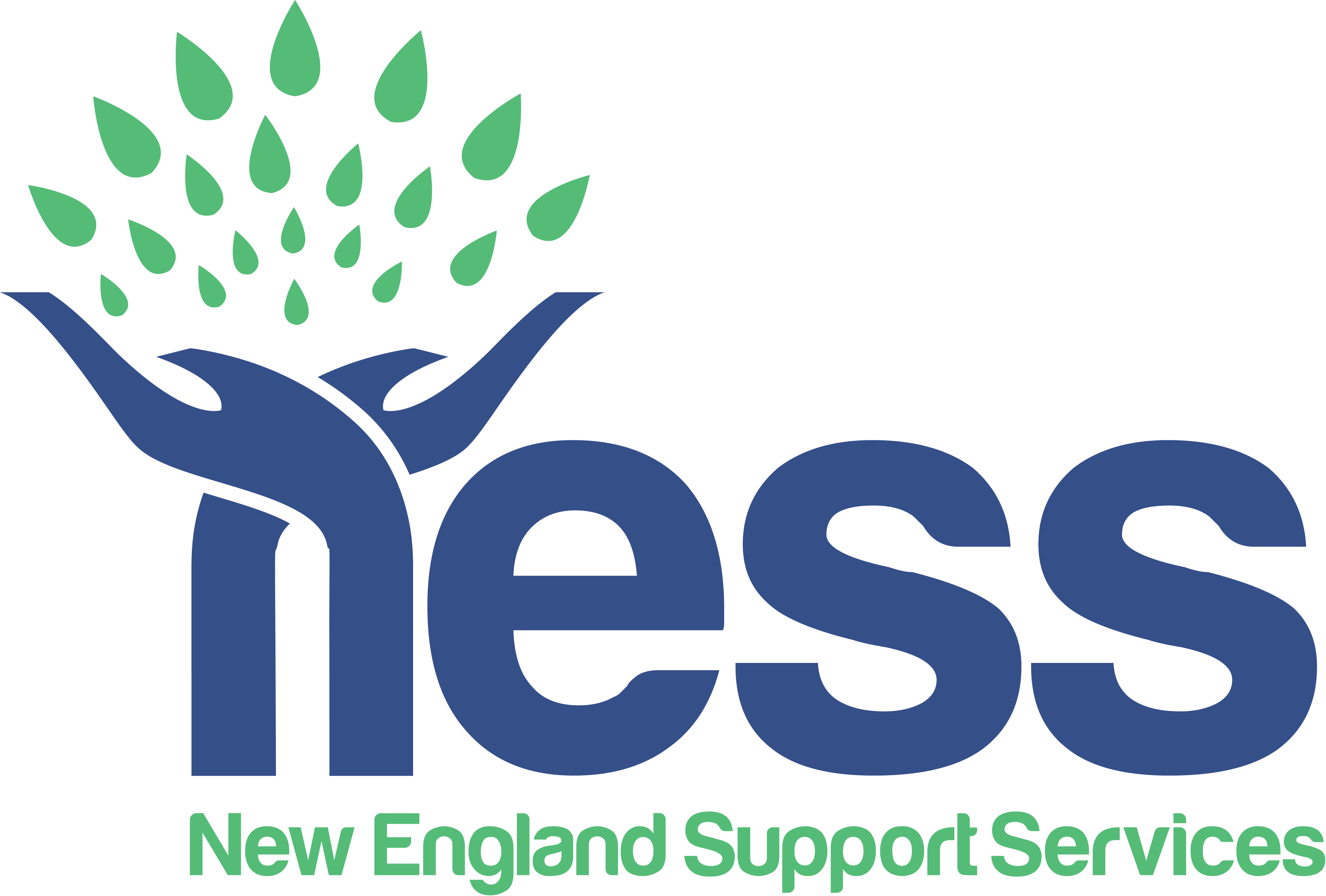 NESS logo