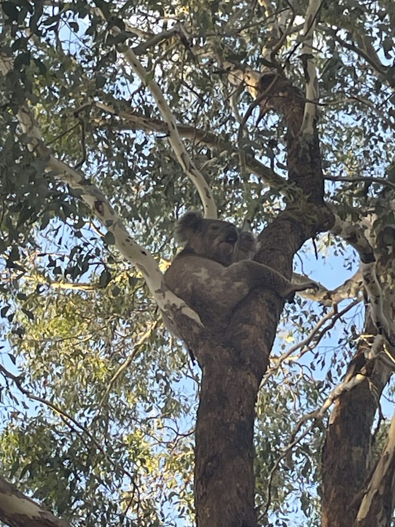 INVERELL-IMAGE