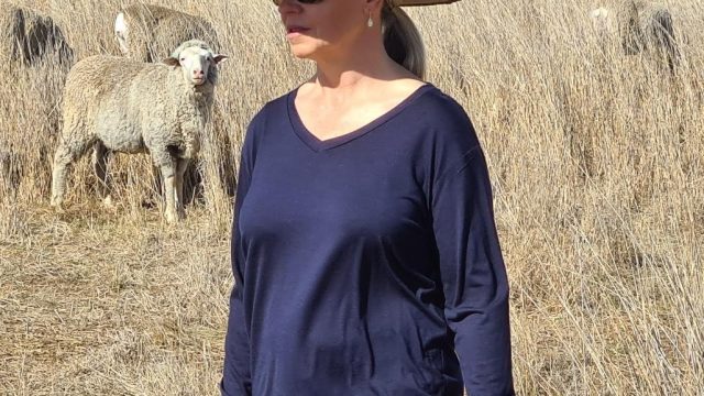 Sleepy-Merino-IMAGE